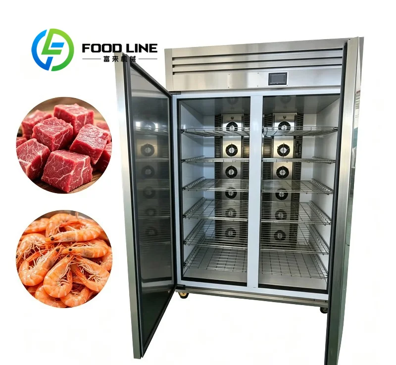 Low Temperature Humidity Thaw Cabinet Precise Constant Parameter Control Ensures Zero Weight Loss For High-End Beef Lamb Thawing