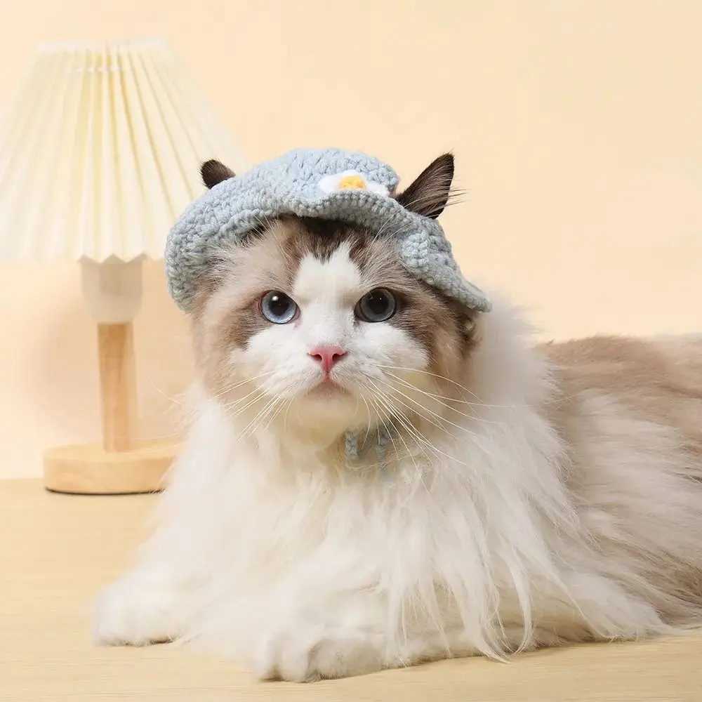 Autumn Winter Cute Cat Hat Cartoon Elastic Kittens Knitted Hat Party Refined Puppy Pet Cap