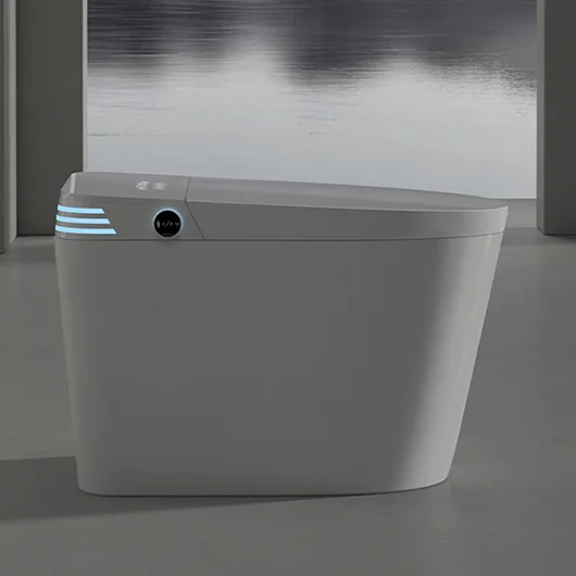 

Advanced Smart Toilet Auto Open/Close Auto Flush Large Water Tank Warm Air Dryer Seat Heating P-Trap S-Trap Drainage Patterns