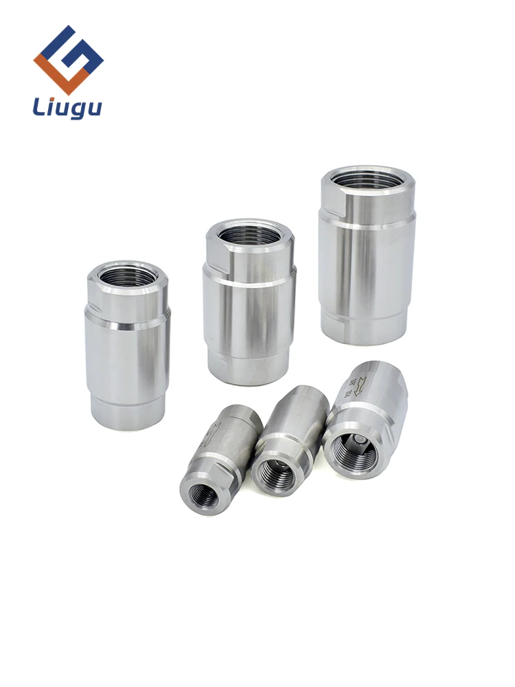 Clapet anti-retour haute pression en acier inoxydable 304, clapet anti-retour unidirectionnel femelle 1/8" - 1" BSP pour vapeur eau huile (200 ° C, 80 Bar)