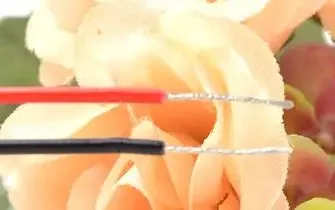 2 lines
