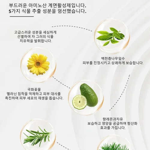보습 바디 워시 젠 워시 비건 야채 추출물, 미니멀리스트 상쾌한 워시 베르가못 부드러운 향 