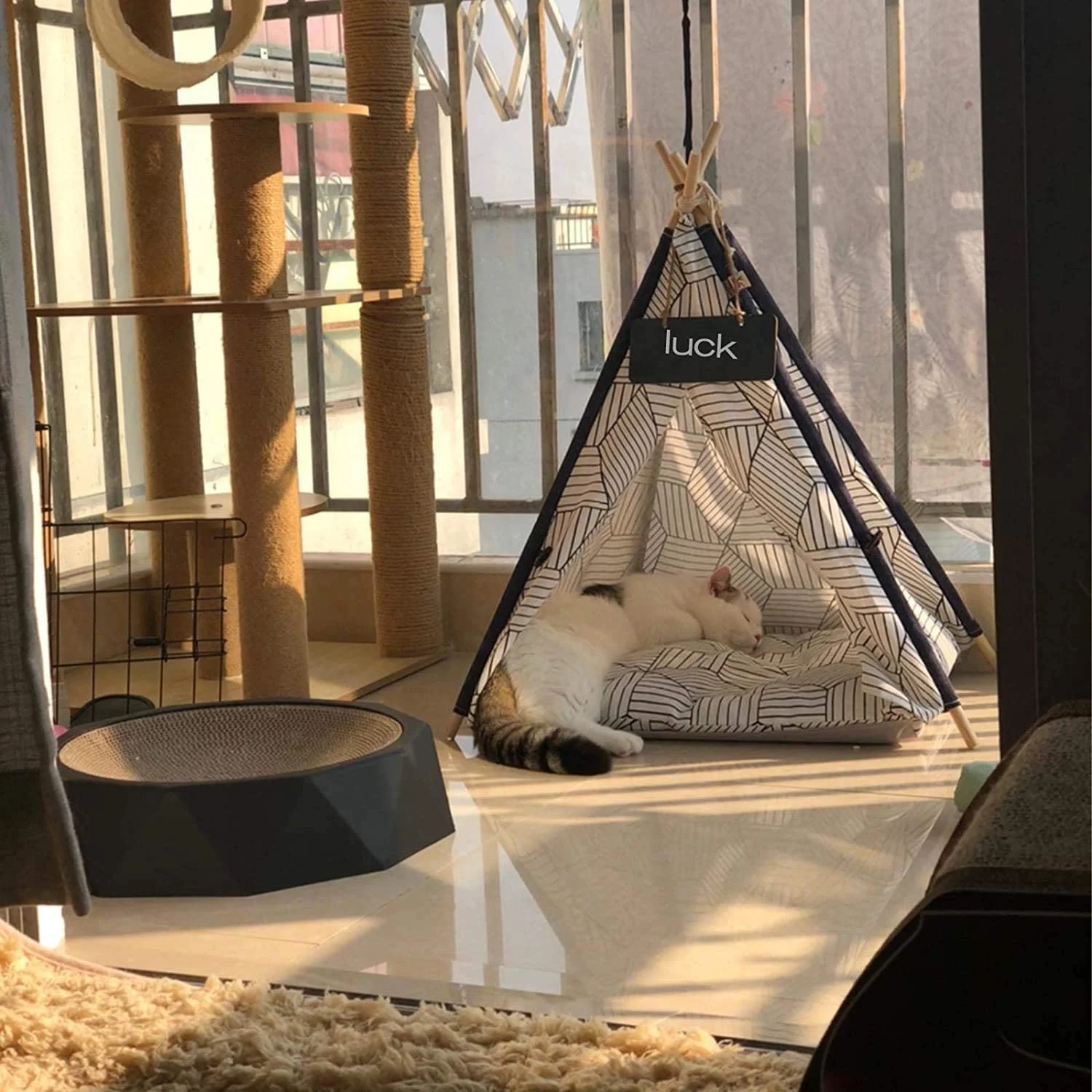 Fotografia 7: Tendas e Casas de Luxo para Animais de Estimação em Lona com Almofada Macia e Lavável, Cama Teepee para Cães e Gatos