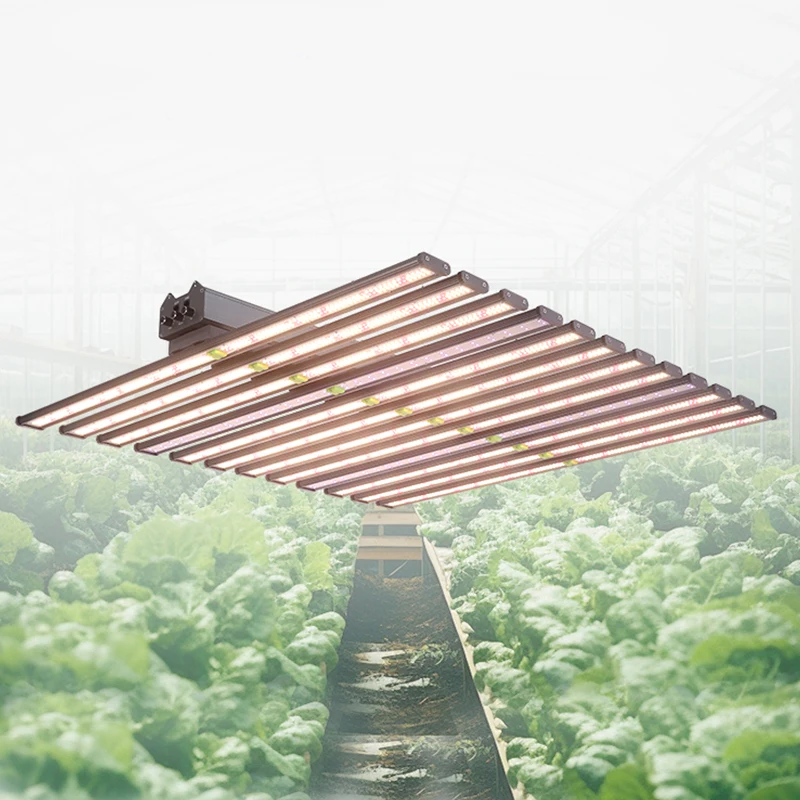LM281B 700W LED Grow Light 800W-1000W Range 8-Bar Aluminum Body IR UV 660nm Spectrum Indoor Medical Plants IP65 Bloom