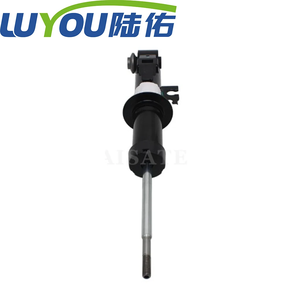 

33526778565 LUYOU Auto Parts 1 pcs Rear strut Shock Absorber For BMW Mini r55 Suspension System