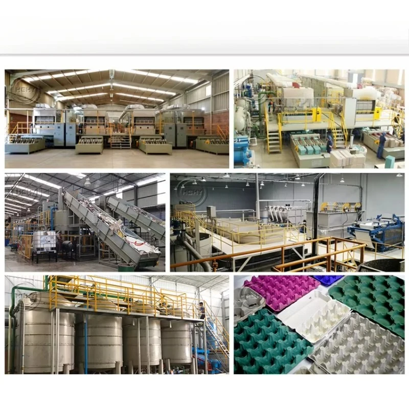 Robust Industrial Egg Tray Forming Machine Heavy Duty Paper Pulp Molding System Customized for Harsh Environment and Operation