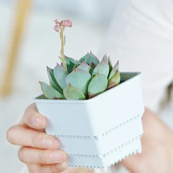 Meshpot 5 pcs 6cm Succulent Square Pot Cactus Lithop Astrophytum Nursery Planting Box with Air Hole Root Control Planter