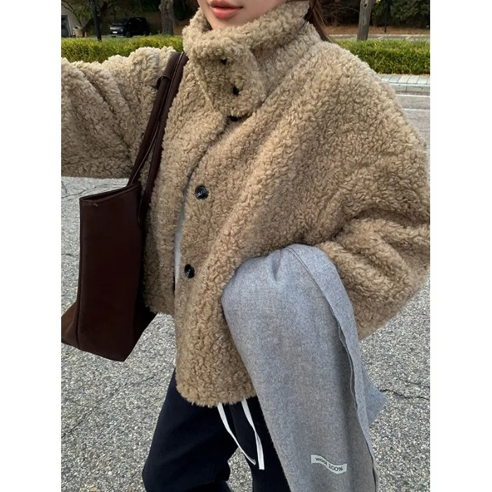 Korean Style Stand Collar Short Lamb Fur Warmth Outerwear Women Winter New Single Button Loose Versatile Coat Casual Style