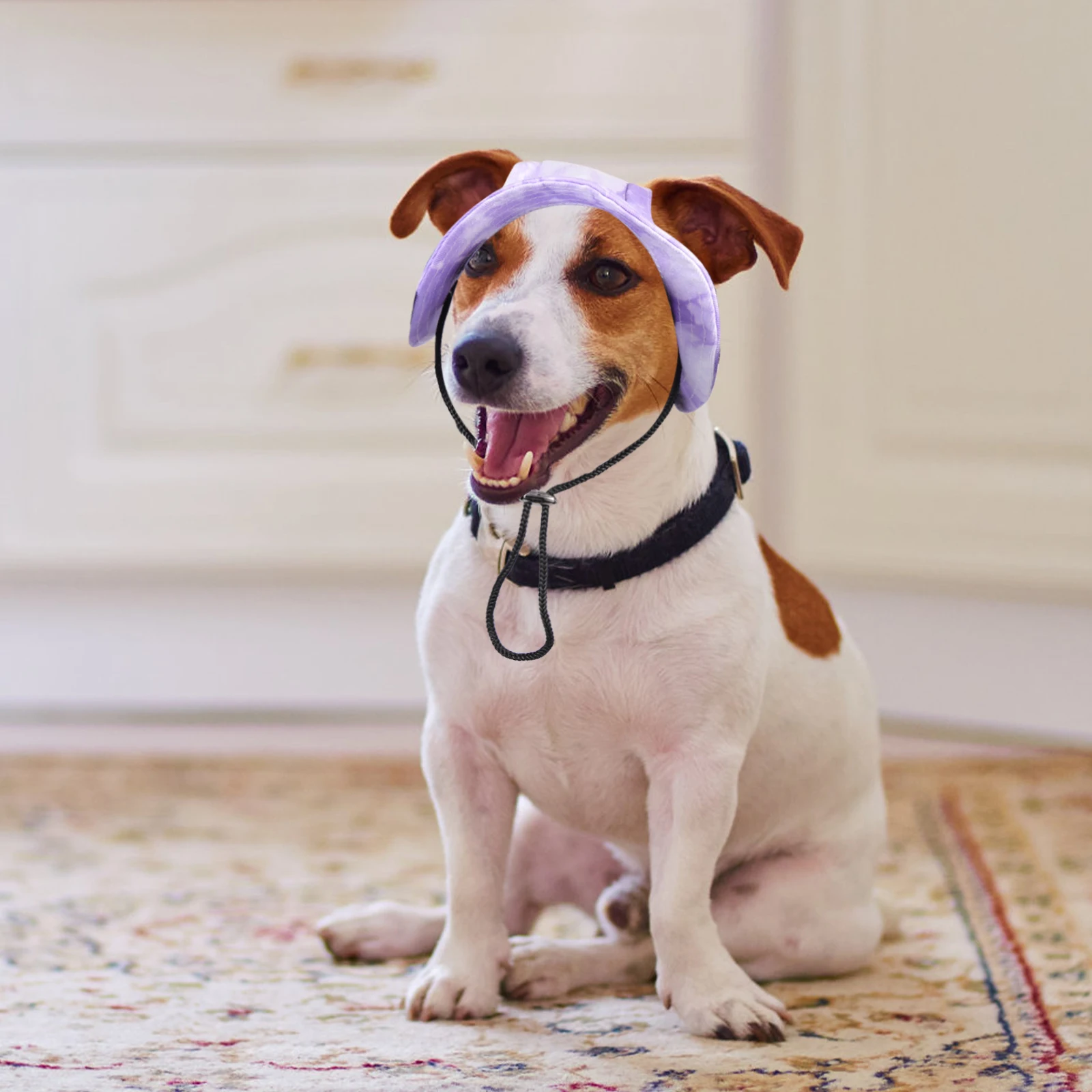 Boné de beisebol para animais de estimação, chapéu para cães, roupas grandes, traje daschund, balde de sol ajustável, verão, homens e mulheres