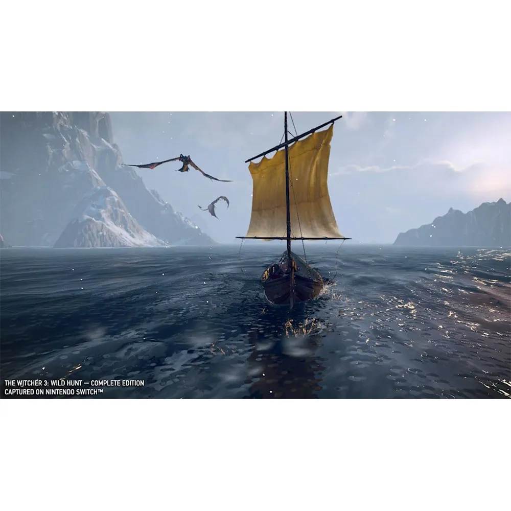 مطاردة Witcher 3 البرية لمفتاح نيتندوا ، الإصدار الكامل ، اللعبة ، الخرطوشة ، البطاقة المادية ، OLED Lite ، نيتنتندوا ، الصفقات ، الصفقات