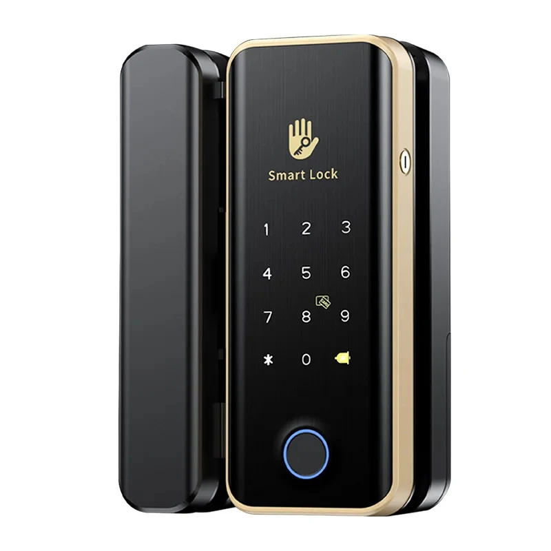 

Умный электрический замок с Wi-Fi, цифровой замок-ручка для двойных раздвижных стеклянных дверей Tuya с распознаванием лиц