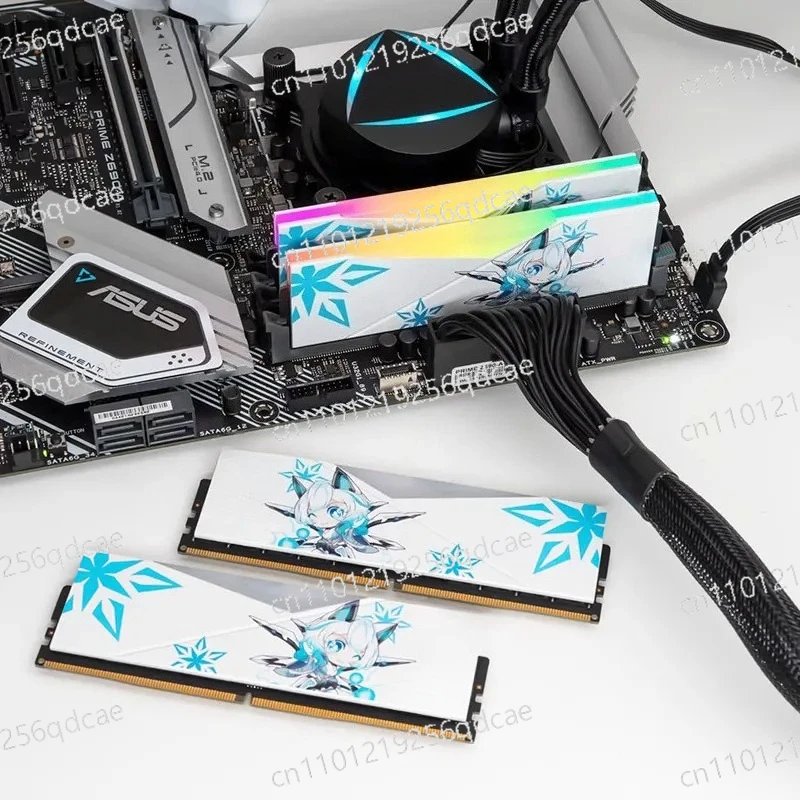 XPG D500G ASUS ROG Ji  joint DDR5 memory stick RGB set light strip 16/32/64 G