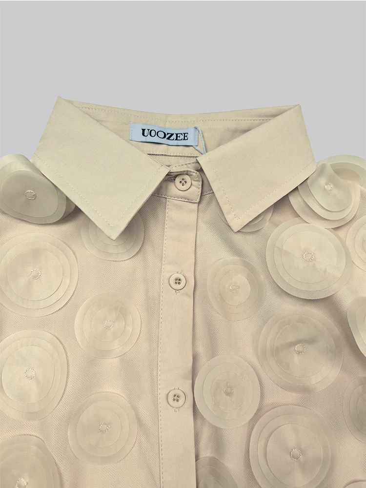 2024 New T-shirt for Women Hollowed Long Sleeves Appliqued Lapel Shirt Urban Female Stylish Loose Fit Buttoned Blouses