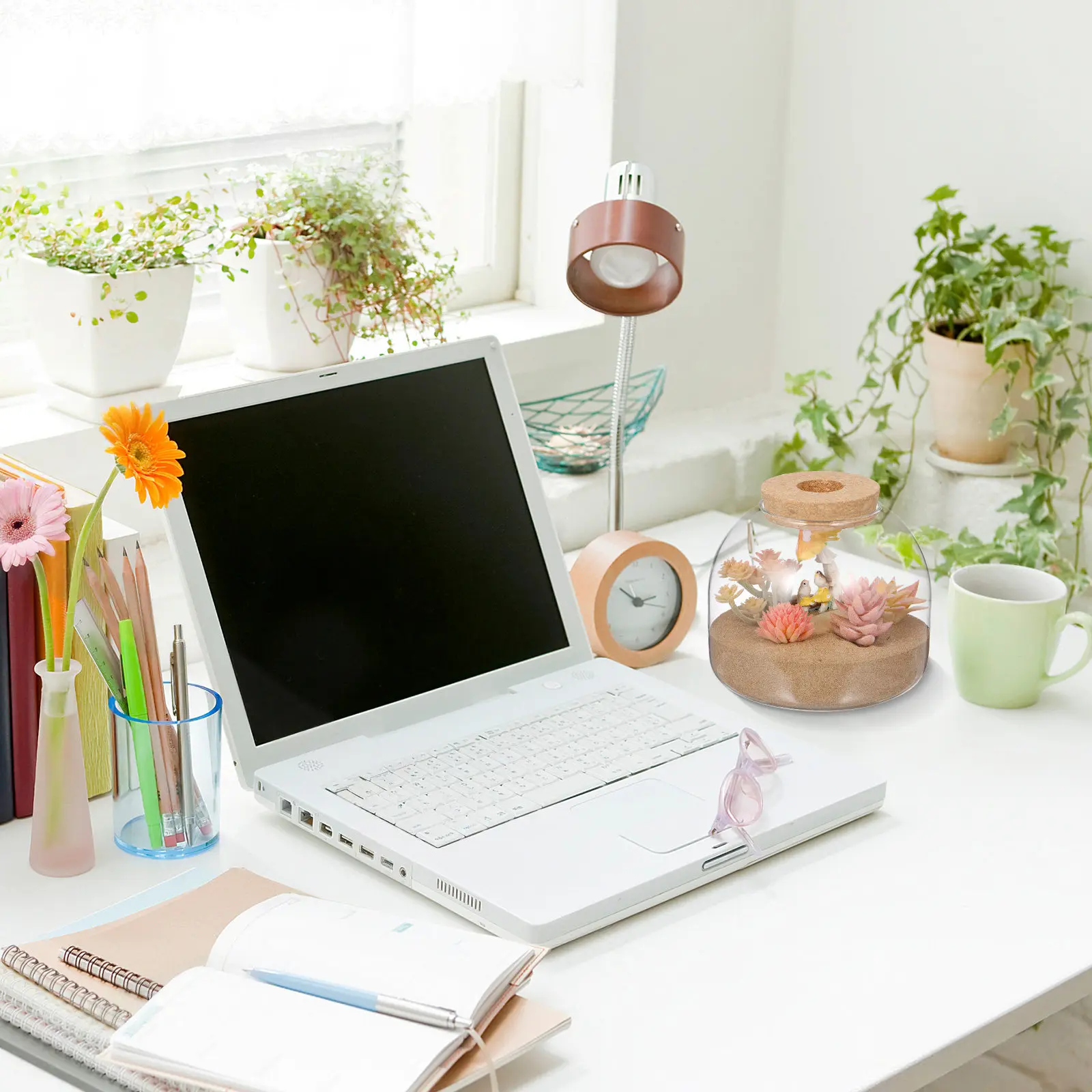 

Стеклянный террариум с пробковой крышкой для миниатюрных садов: для бромелий, папоротников, мха. Декор для гостиной и офиса.