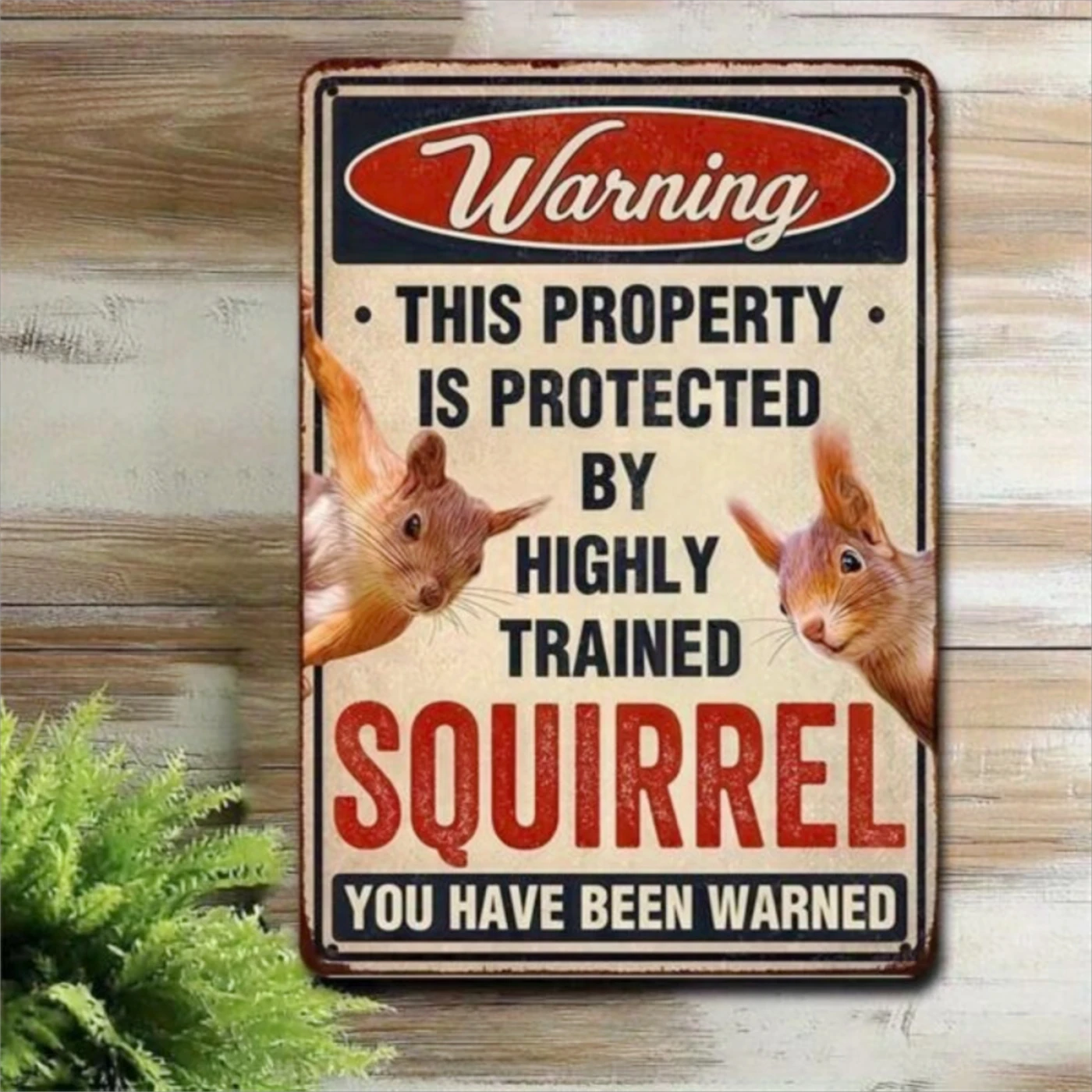 2D Flat, 1pc Funny Squirrel Warning Sign - Vintage Metal Wall Art with "Protected By Highly Trained Squirrel" Rustic Decoration - Iron Nut-cracker Sign for, Office, - 8x12 Inches (20x30cm) / Use, 2D Flat