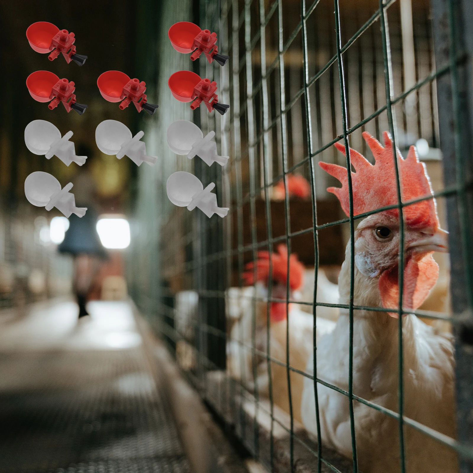 

10Pcs PressureResistant Automatic Chicken Drinkers SmoothSurface Poultry Waterer For All Kinds Of Poultry