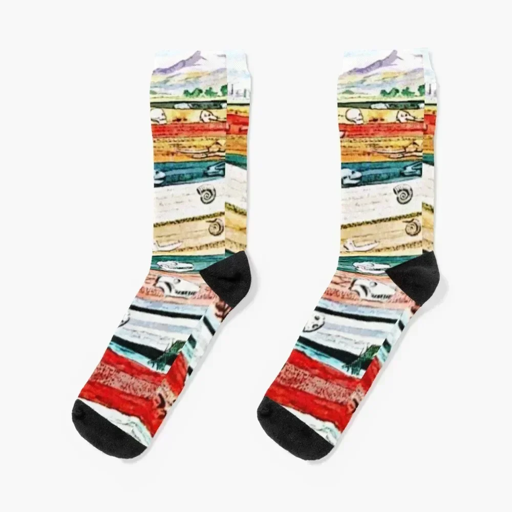 

Paleontologist Socks hockey luxe Heating sock Socks Man Women's