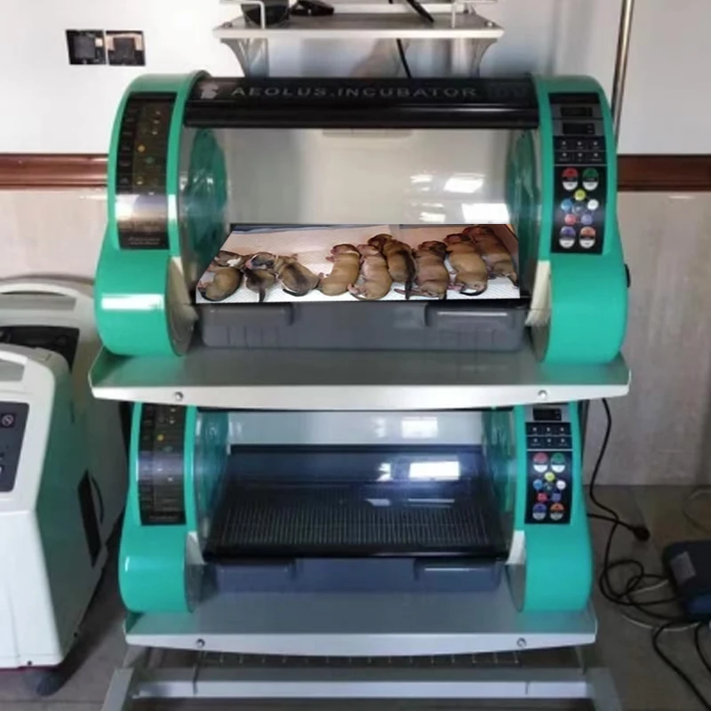 

Vet Completely Automatic Animal Bird Small Pet Incubator for Sale Animals Brooder Veterinary Puppy 90 Diagnosis Pet Incubator