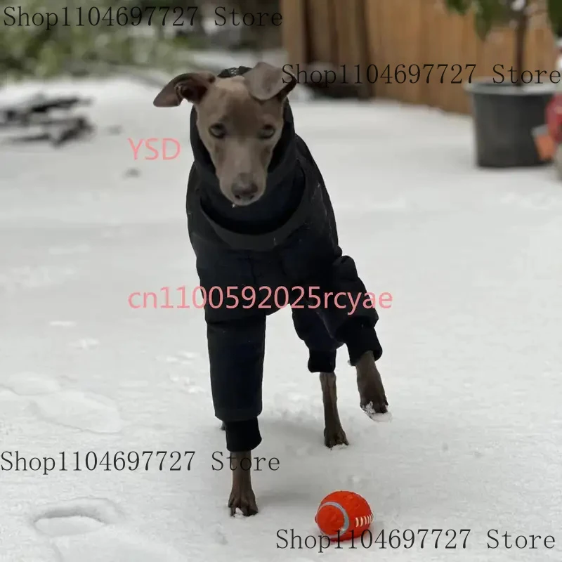 Autumn Winter Small & Medium Dog Turtleneck Coat - Windproof Warm Eco-Cotton Padded Clothes