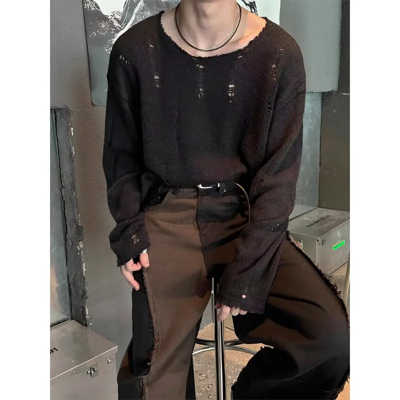 Hollowed-out Long-sleeved Knitted Sweater Men's Light Luxury Casual Lazy Wind Spring and Autumn T-shirt