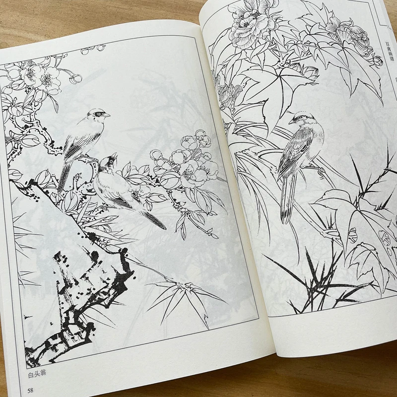 Chinese Line Drawing Manuscript Book Meticulous Painting Line Draft Set Bird Fruit Vegetable Martial Art Character Picture Album