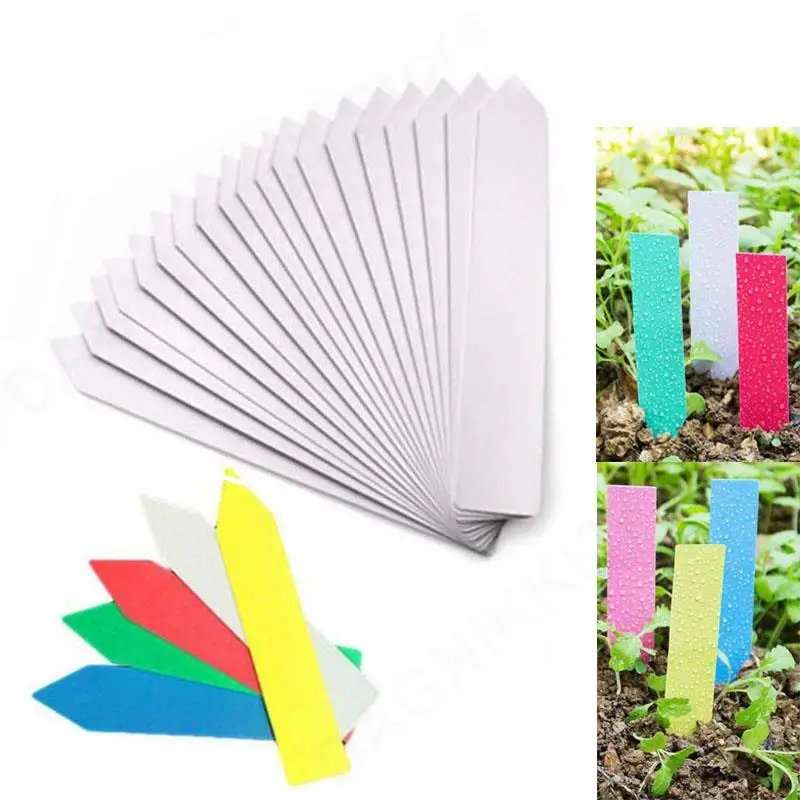 

Reusable PVC Plants Labels 50pcs Hang Tag Tree Fruits Flower Pot Waterproof Markers Sign Garden Tools Tree Label