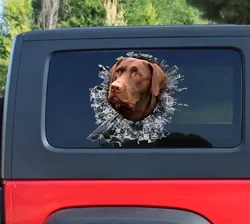 Pegatina para ventana de Labrador de Chocolate, calcomanía para coche de laboratorio de Chocolate, calcomanía de Labrador, 15cm