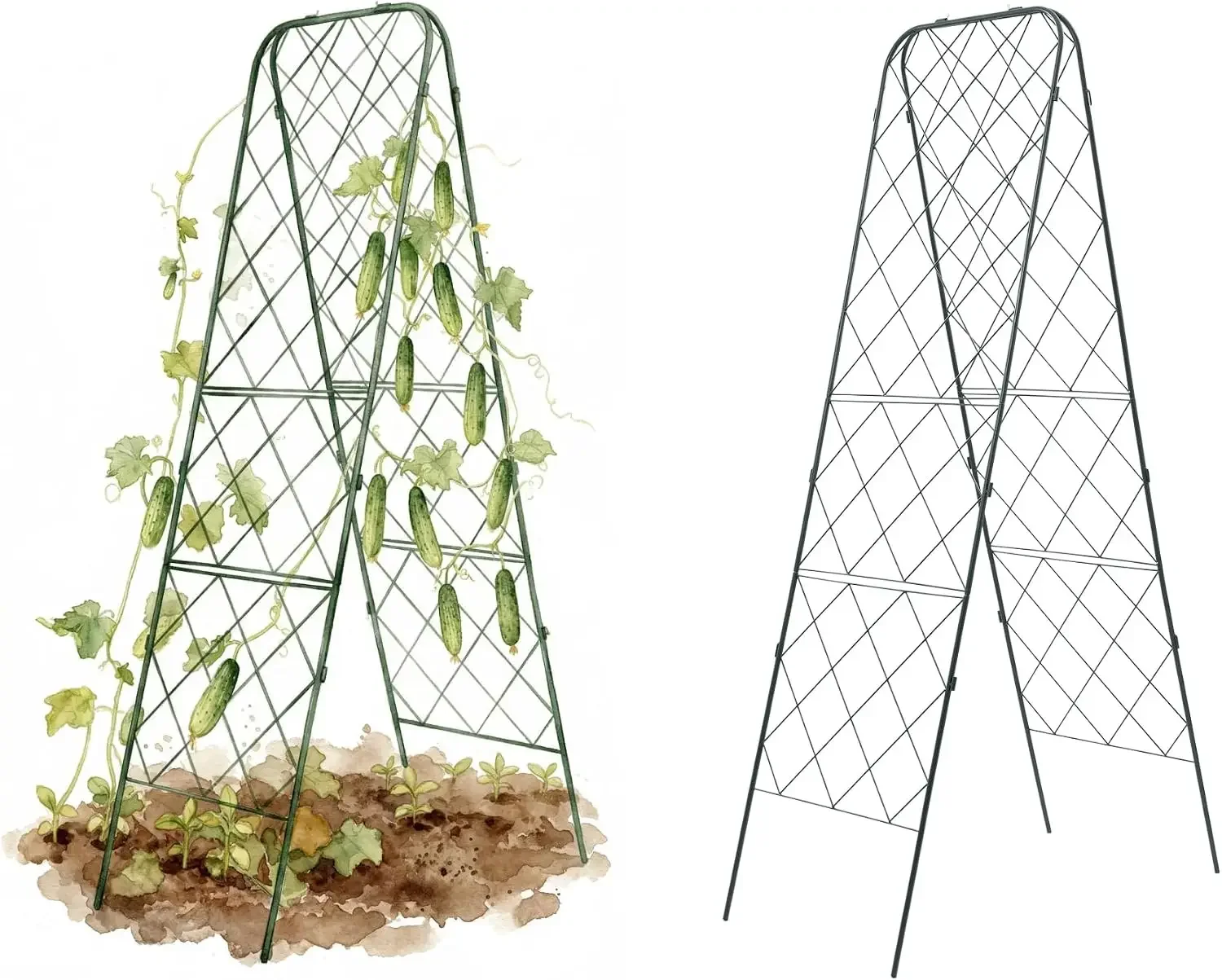 A-Frame Trellis 80