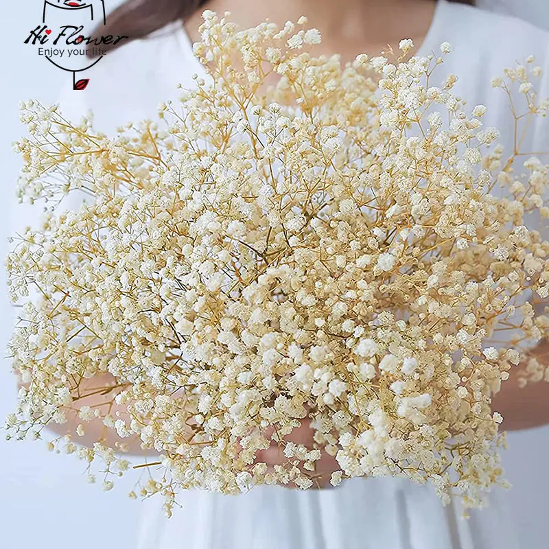 Natural Gypsophila Baby Breath Dried Flower Bouquet Valentine Day Gift Wedding Party Decoration Preserved Paniculata Home Decor