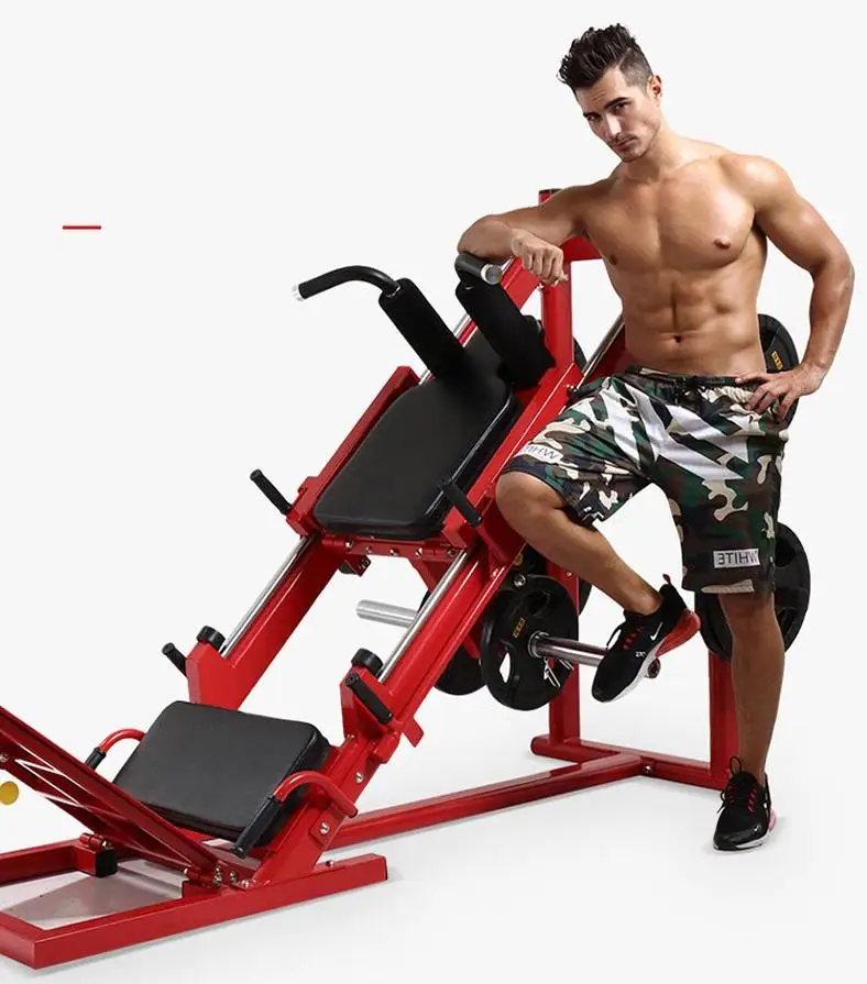 Custom Logo 2-in-1 Safety Gym Fitness Equipment 45 Degree Leg Press Machine Hack Squat Lateral Leg Press Power Rack For Arms