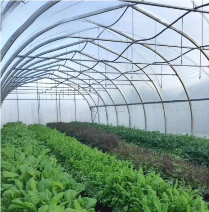 نفق الدفيئة الزراعية الدفيئات الزراعية