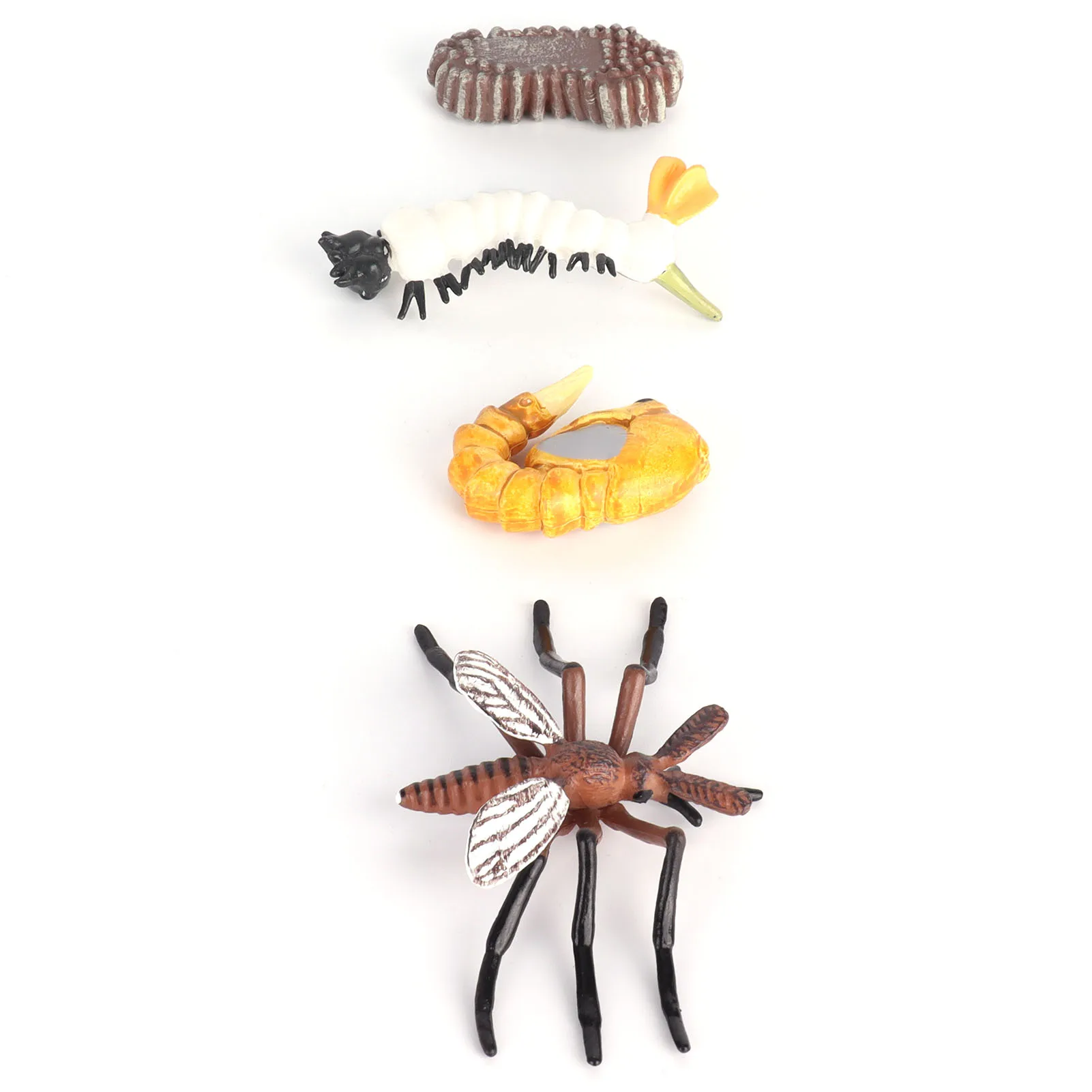 Creative Insect Life Cycle Figurines Vinyl Ant Mosquito Growth Model Educational Toy Home Kids Room Desktop Ornaments