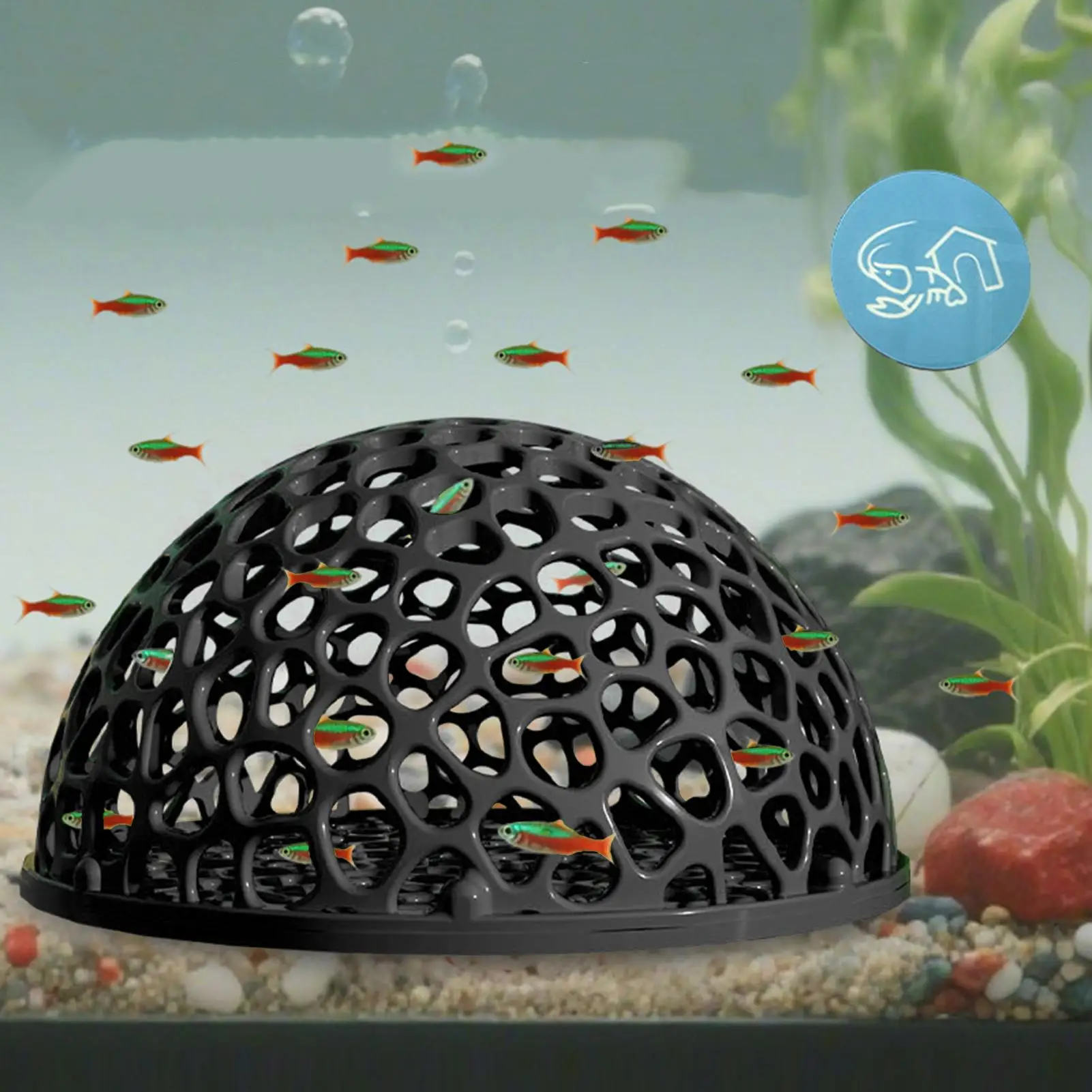 Shrimp Hides Aquarium shrimp house Cave Shrimp Hiding Place Cave Betta Habitat Fish Resting Place Aquarium Fish Tank Decoration