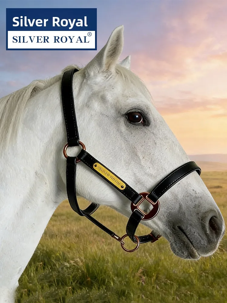 silver-royal-riding-bit-adjustable-leather-headstall-freeze-proof-training-lead-rope-for-equestrian-sports-and-fitness