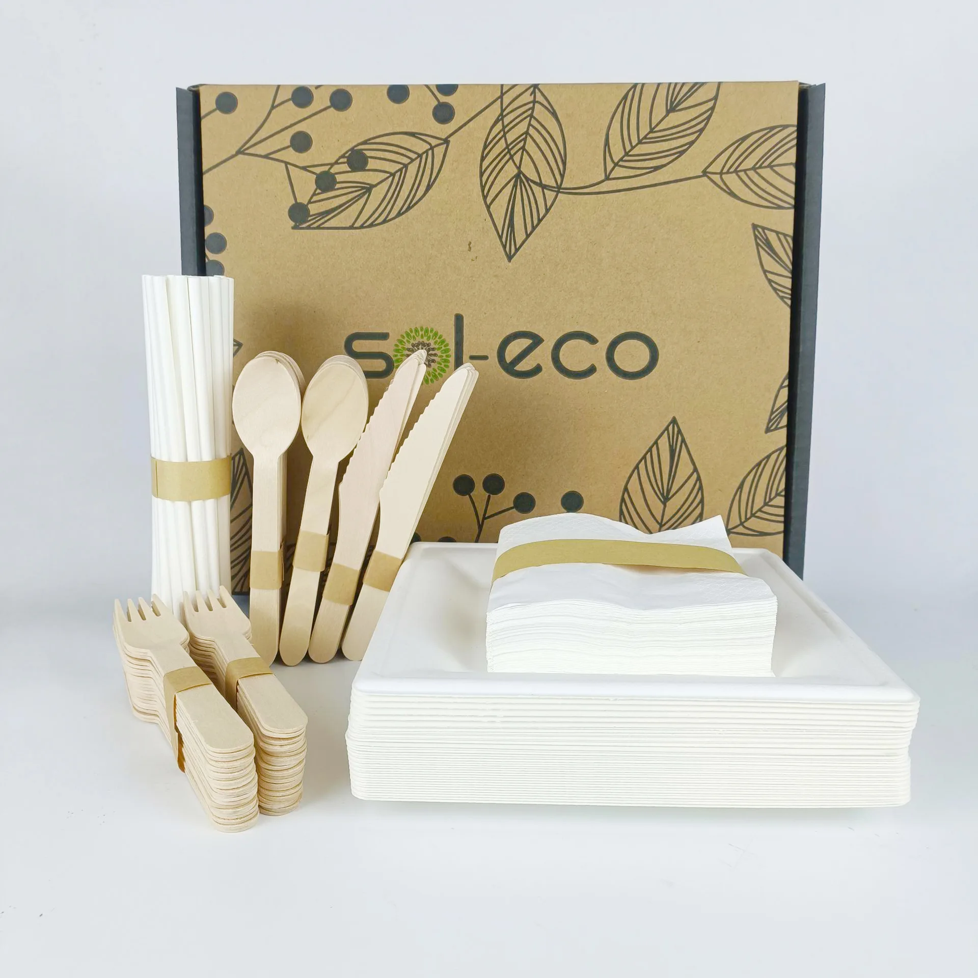240pcs Eco Disposable Pulp Tableware, Sugarcane Western Cutlery, Custom Set for Party & Event