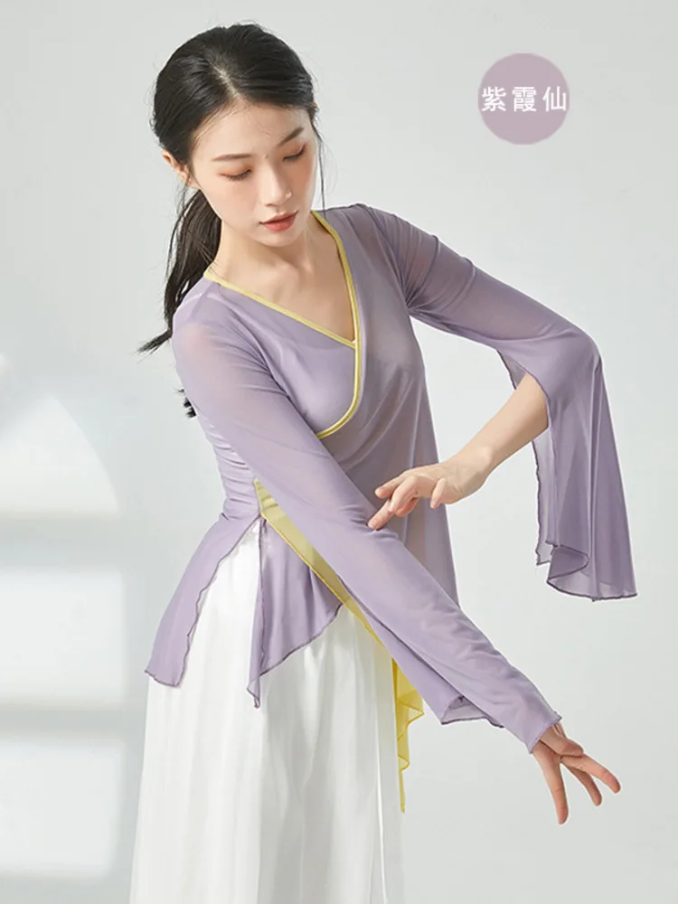 Mesh Adult Costume Latin Dance Women Dancewear Tops Party Jazz Flare Sleeve Sexy Line Modern Hanfu Classical T-shirt 2024 Summer