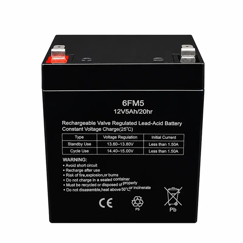 for Philips SD75/93 Outdoor Speaker Battery 6FM5 Replacement Power Supply Unit Compatible with Device High Capacity