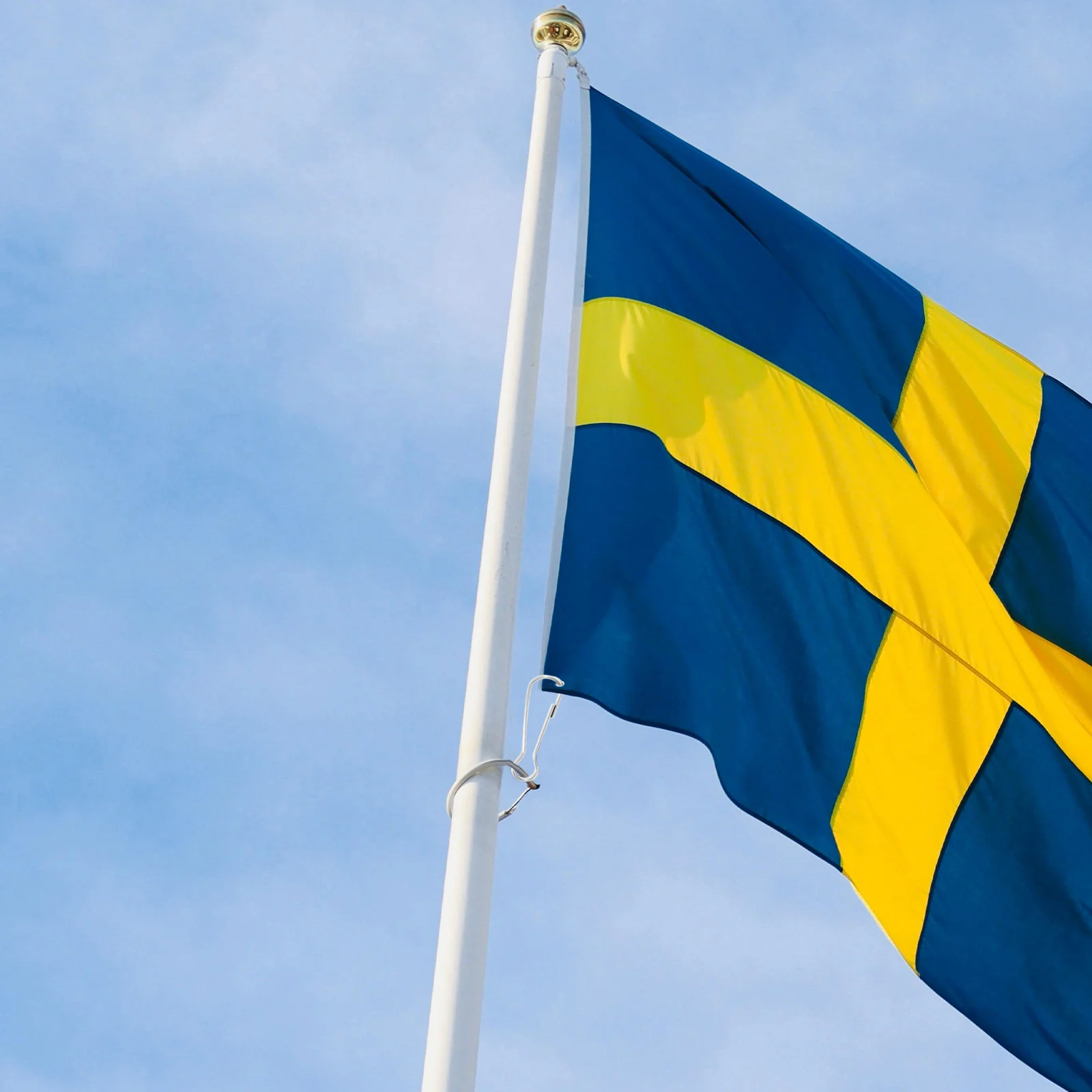 

30Pcs Stainless Steel Flagpole Clips Heavy Duty Snap Hooks Outdoor Garden Flag Banner Pole Accessories Replacement Parts