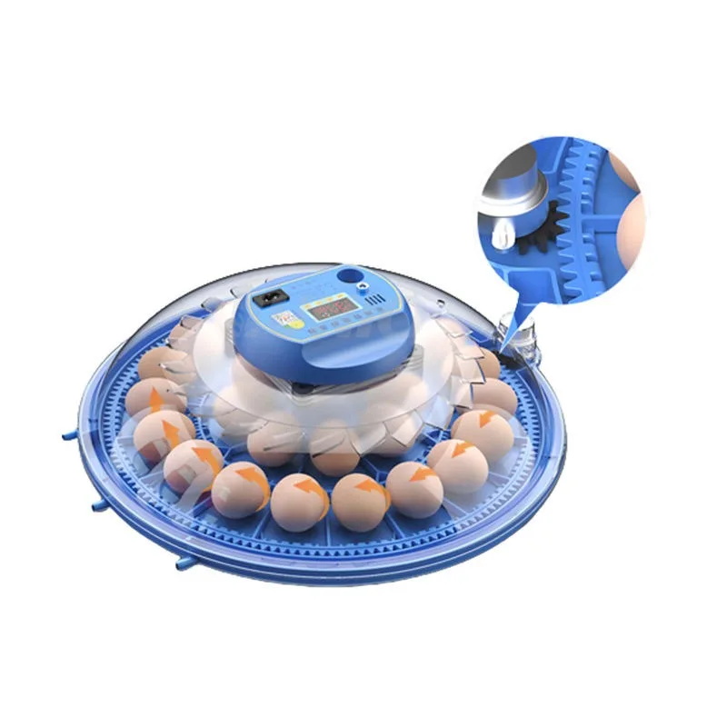 

Cheap Sale Small incubator hatchery egg hatching machine 62 eggs incubator