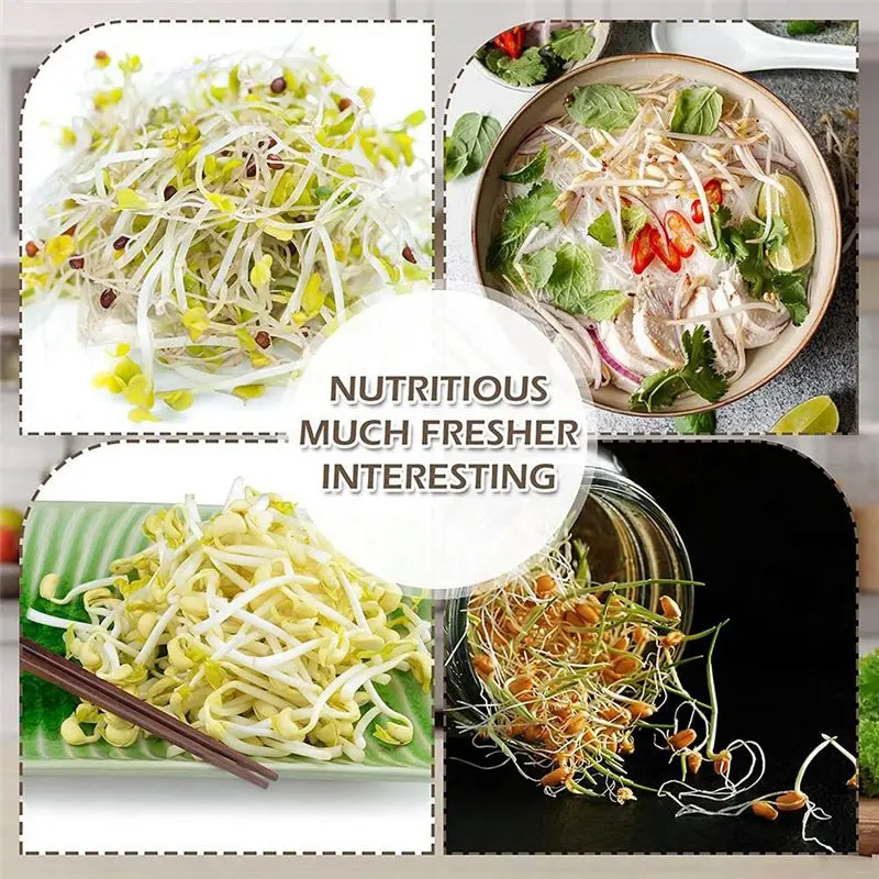 AA77 NEW 8 Sets Sprouting Jar Kit Includes Sprouting Lids and Sprouting Stands Jar Screen Lids for Sprouting Growing Seeds