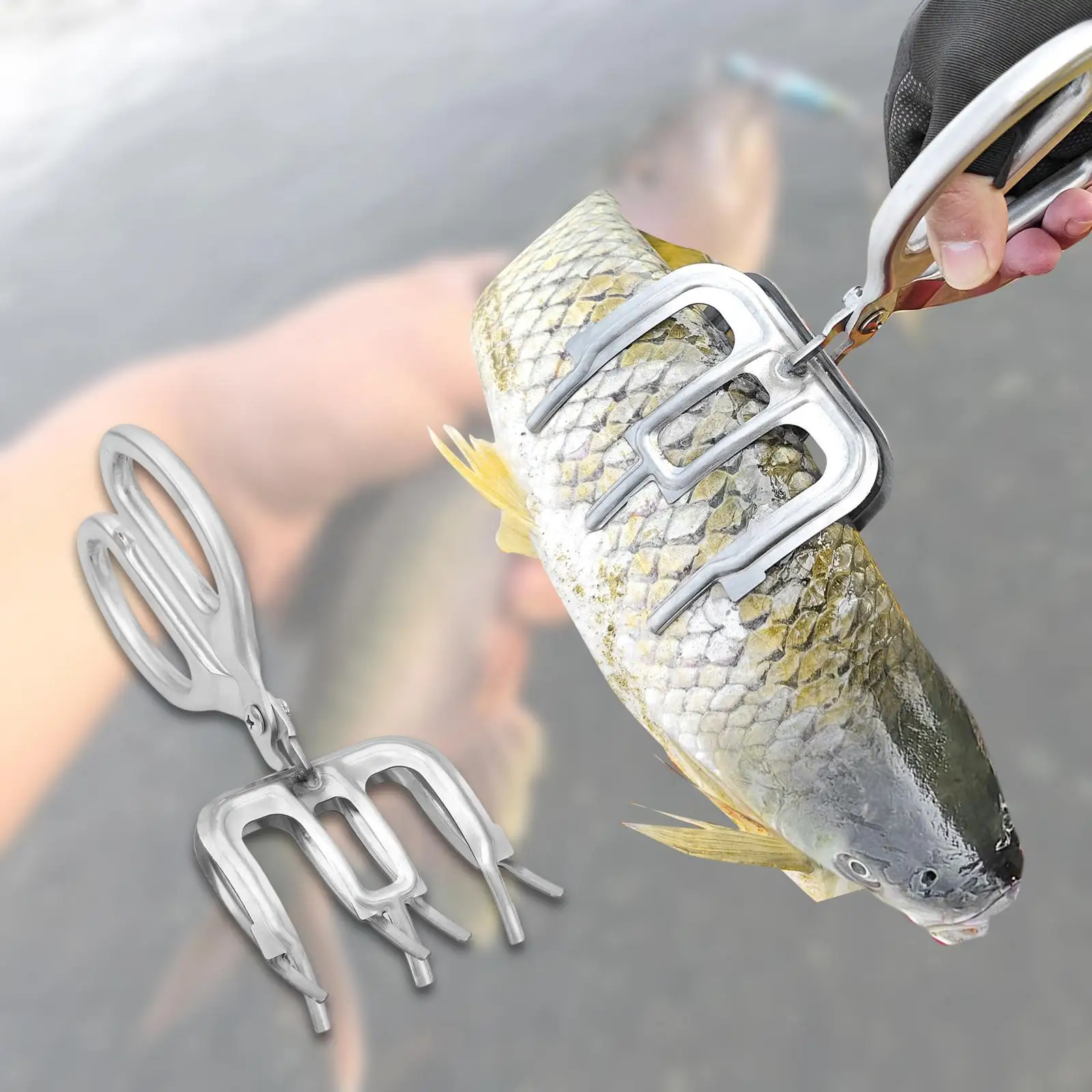 

Fish Gripper Stainless Steel Lightweight Grabber Anti Slip Fish Grip Tackle Tool for Fishing Tackle Enthusiasts Most Freshwater