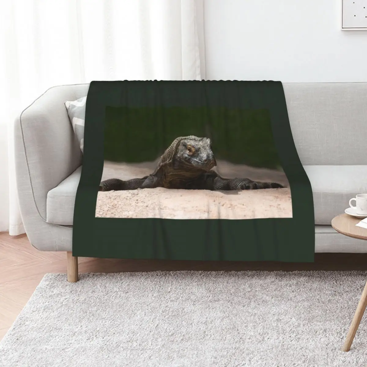 Komodo monitor dragon Throw Blanket Flannel Fabric Plush Thin Decoratives Thermal Winter beds Blankets