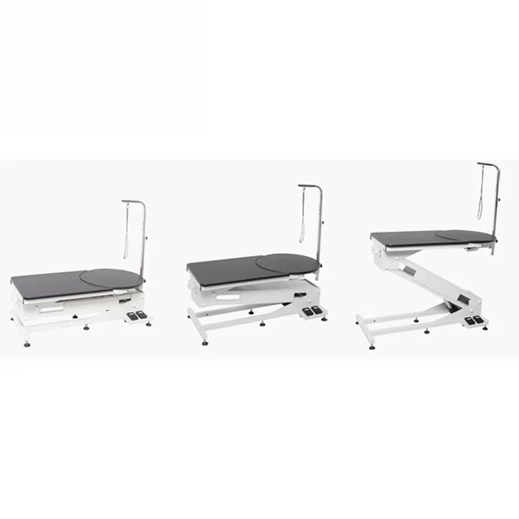 2026 Electric Dog Grooming Table, Height Adjustable Black Professional Grade