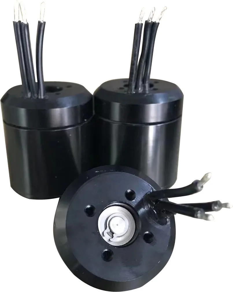 24v 12v 36mm diameter outrunner brushless motor 300kv underwater motor with good waterproof for robot and scooter