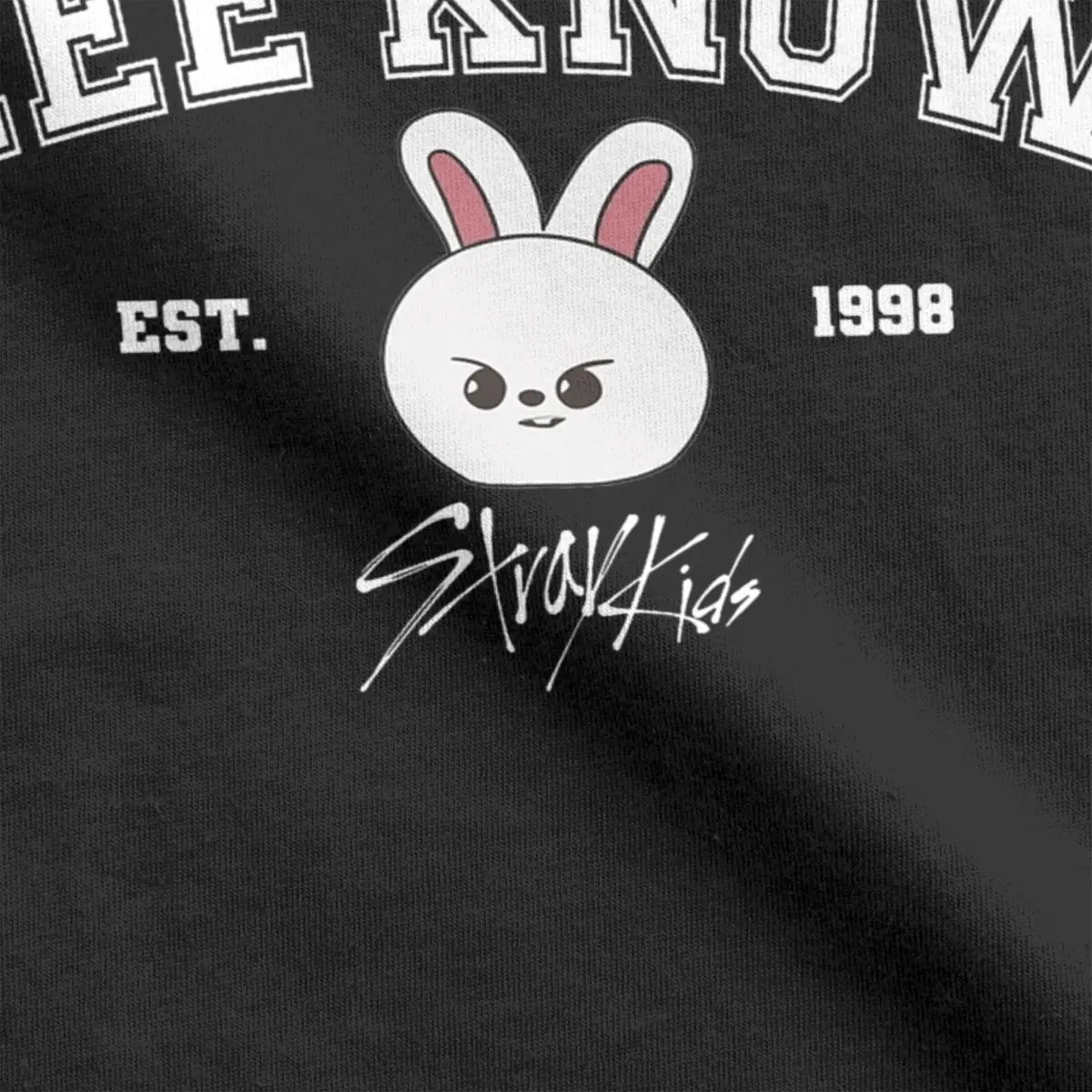 Awesome Lee Know 1998 Kpop T-Shirt for Men Crewneck Pure Cotton T Shirt Short Sleeve Tees Birthday Present Clothing