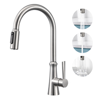 Factory Manufacturer Filter Faucet 304 Stainless Steel Pull Down 3 Way Kitchen Kitchen Faucet