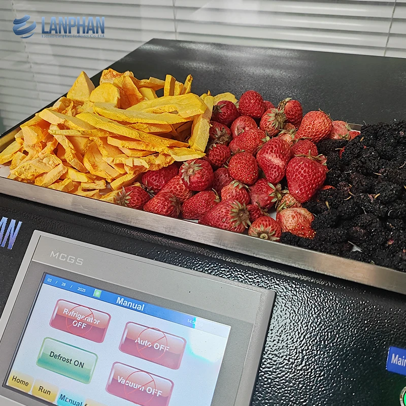 Lanphan konkurrenzfähiger Preis 5 kg-7 kg 0,5 m2 fünf Schichten Süßigkeiten Haustier Leckereien Fleisch Lebensmittel Obst Gemüse Gefriertrockner Maschine für Zuhause