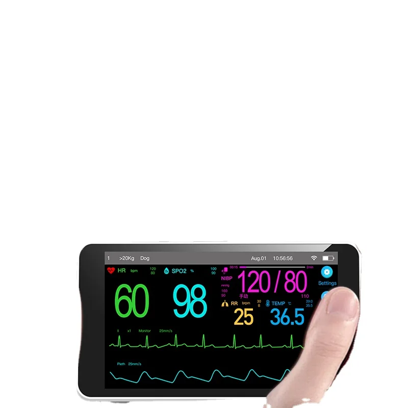 Free delivery monitoring dynamic recorder sleep breathing