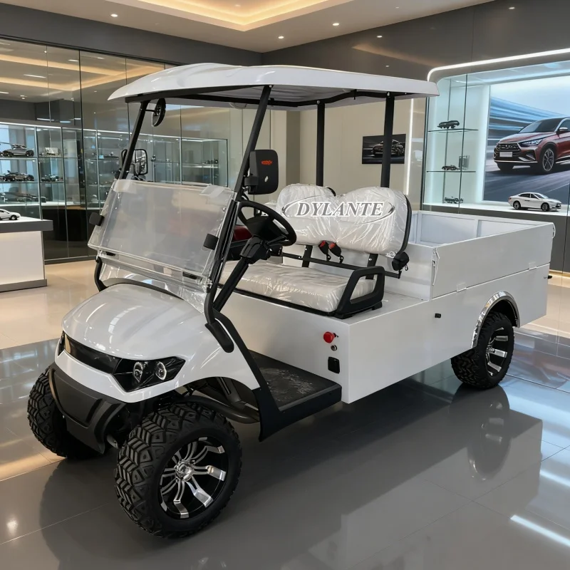 شريك حصري للألعاب الآسيوية 4 مقاعد لوحة طاقة شمسية عربة جولف كهربائية على الطرق الوعرة سيارة صيد عالمية المنتج الأكثر مبيعًا #4