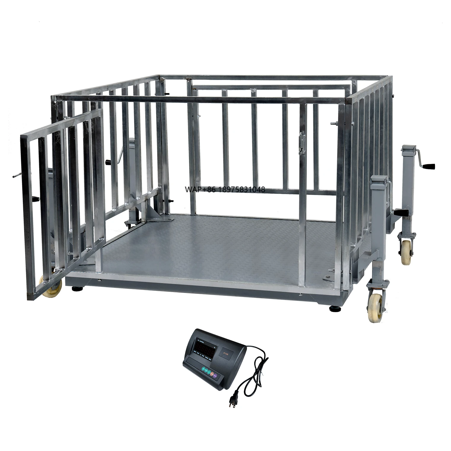 

Large-scale breeding of hot-selling livestock calls sheep with mobile fences and pigs with weighing machines